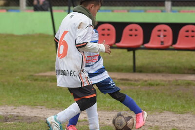 VIER_15_HS___60_.JPG25