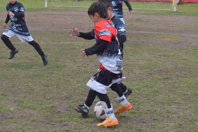 VIER_15_HS___84_.JPG39