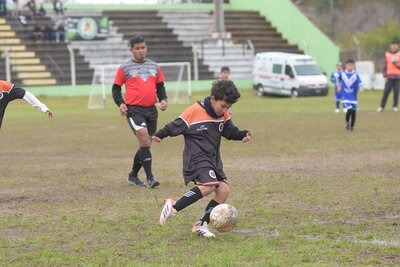 VIER__13_HS__27_.JPG12