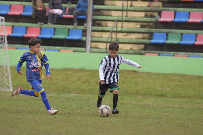 VIER__13_HS__40_.JPG37