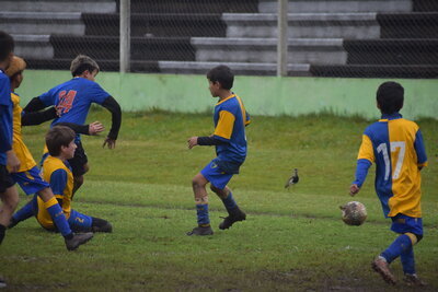 1386-DOM_13HS__200_.JPG24