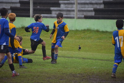1387-DOM_13HS__201_.JPG23