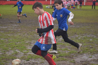 1785-DOM_12HS__273_.JPG25
