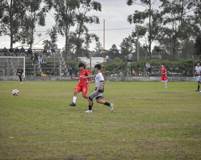 FED GUAS13 F1-0161.jpg13