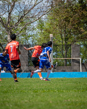 PRIMERA F18-14.jpg7