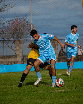 PRIMERA F18-221.jpg