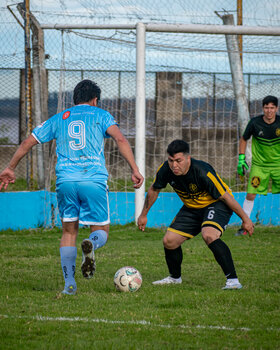 PRIMERA F18-252.jpg