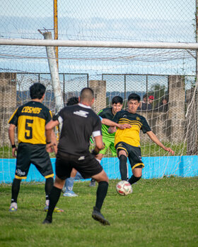 PRIMERA F18-255.jpg