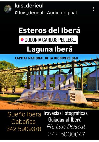 90ea7aea-d7fa-4acd-aa04-d86a18a8cab3-1_all_102111.jpg