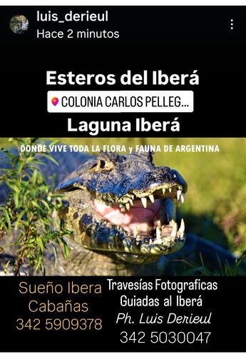 90ea7aea-d7fa-4acd-aa04-d86a18a8cab3-1_all_102112.jpg