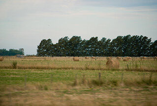 1000063265.jpg