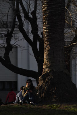 _DSC7416__2_.JPG
