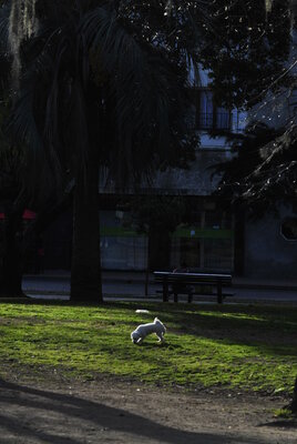 _DSC7418__2_.JPG