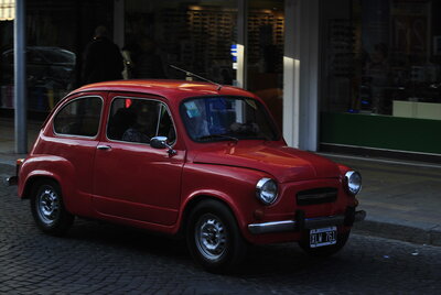 _DSC7439__2_.JPG