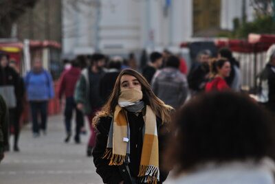 _DSC7488__2_.JPG