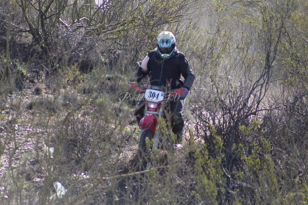 IMG_9525.JPG