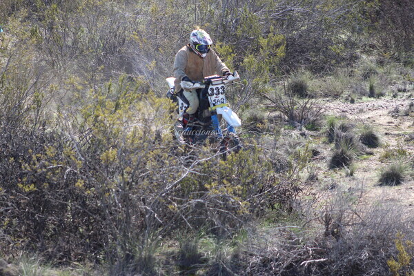 IMG_9530.JPG