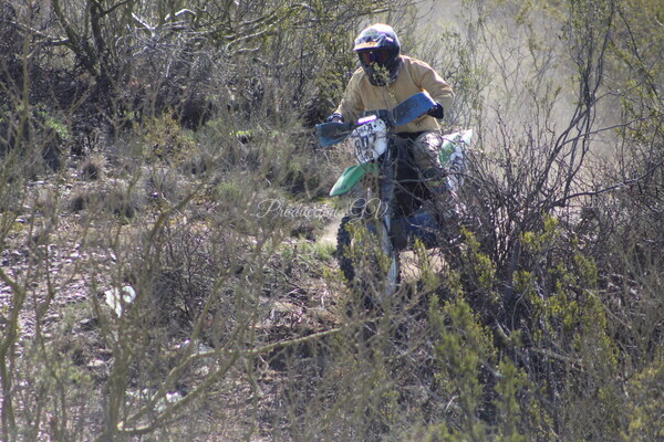 IMG_9557.JPG