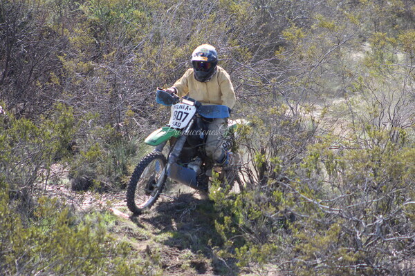 IMG_9560.JPG