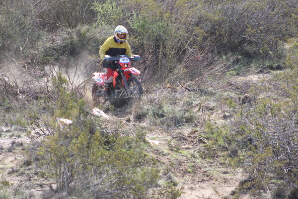 IMG_9669.JPG