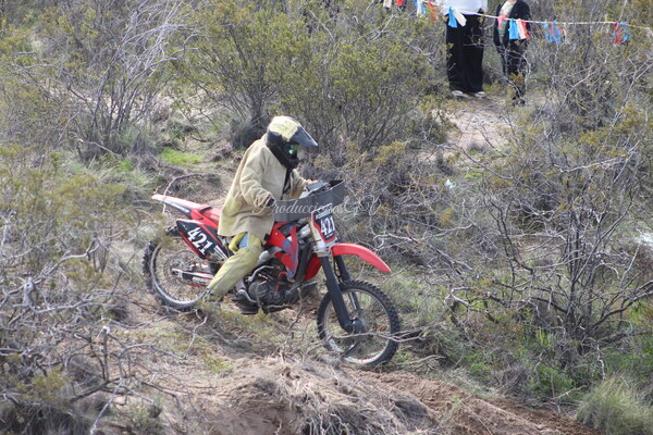 IMG_9699.JPG