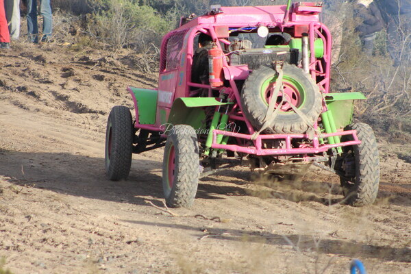 IMG_9957.JPG