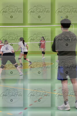 Voley. Equipo femenino