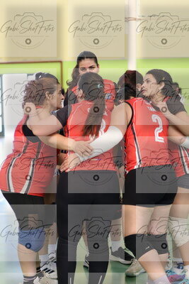 Voley. Equipo femenino