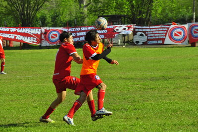 _DSC9535.JPG29