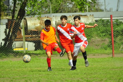 _DSC9774.JPG12