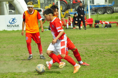 _DSC9980.JPG12