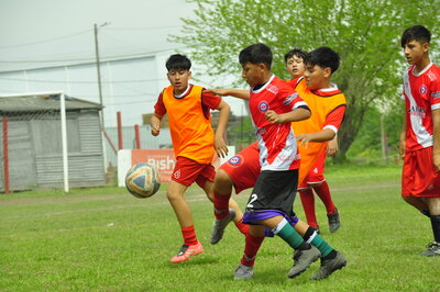 _DSC0104.JPG37