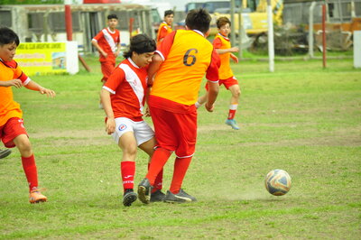_DSC0270.JPG