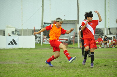 _DSC0306.JPG39