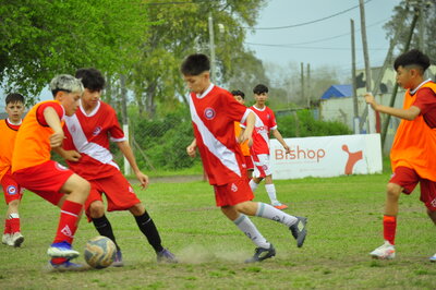 _DSC0312.JPG36
