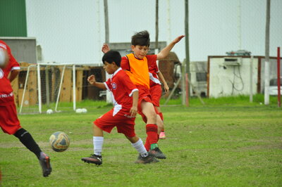 _DSC0316.JPG33