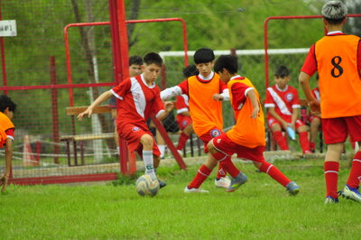 _DSC0337.JPG17