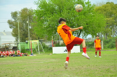 _DSC0354.JPG3