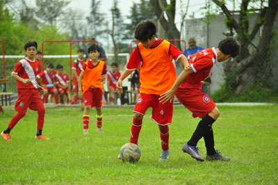 _DSC0400.JPG