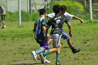 _DSC0781.JPG