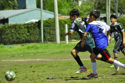 _DSC0500.JPG18