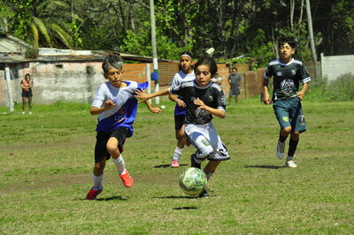_DSC0517.JPG8