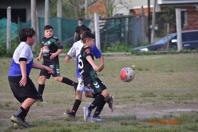 DSC_4741.JPG36