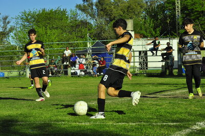 _DSC3337.JPG40