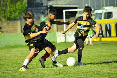 _DSC3353.JPG29