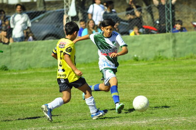_CSC2955.JPG33