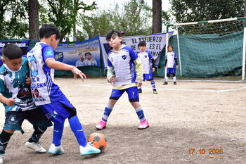 DSC_5994.JPG