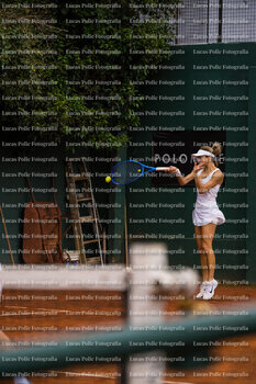 _DSC4497.jpg