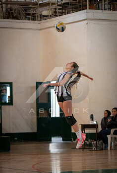 DSC_4025.jpeg