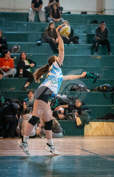 DSC_4058.jpeg